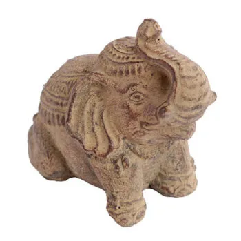 Elefante Indiano Manto